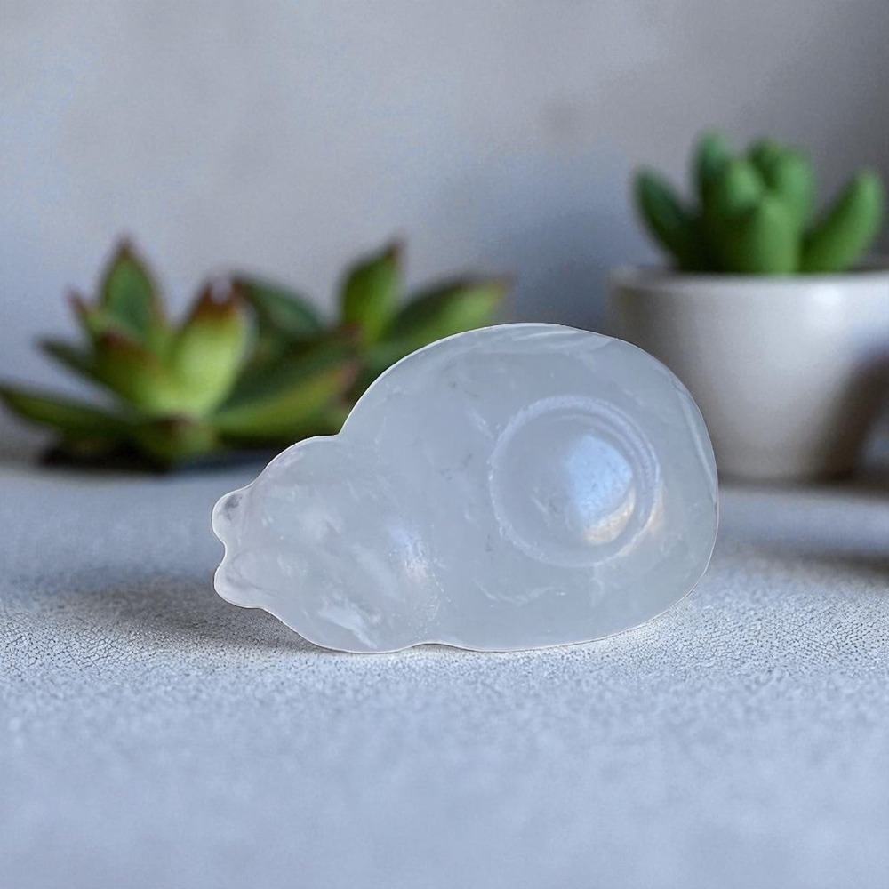 Quartz Crystal Ladybug Totem‎ Carving | Healing Gemstone Figurine